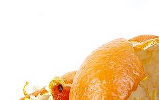 桔子皮的食疗功效（桔子皮的功效与食用制作）