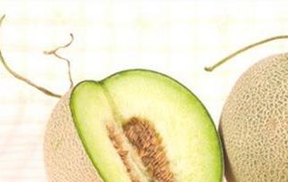 哈蜜瓜煲汤有什么功效 哈蜜瓜的营养和功效