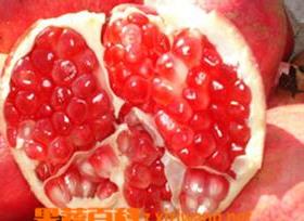 石榴内皮的功效与作用 石榴内皮的功效与作用图片
