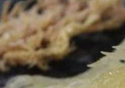 海燕窝的功效与作用 海燕窝的功效与作用及禁忌
