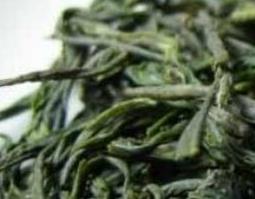 松萝泡水喝的功效与作用（松萝泡水喝的功效与作用及禁忌）