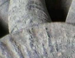 水牛角的功效与作用及药用价值