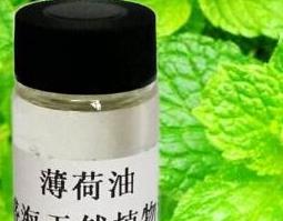 薄荷油的功效与作用及用法 薄荷油的功效与作用及食用方法