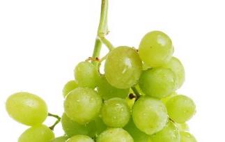 葡萄酒营养价值和医疗保健作用 葡萄酒营养价值和医疗保健作用的关系