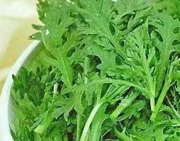 野蒿子的功效与作用（野蒿子的功效与作用图片）