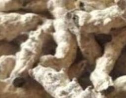白僵蚕的美容功效 白僵蚕的美容功效与作用点