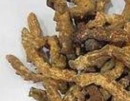 白僵蚕和炒僵蚕的区别 白僵蚕与炒僵蚕的区别