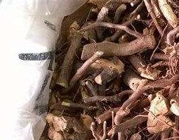 茅莓根的功效与作用 茅莓根的功效与作用根什么时候采摘