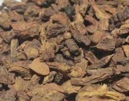 隔山香的功效与作用 隔山香的禁忌