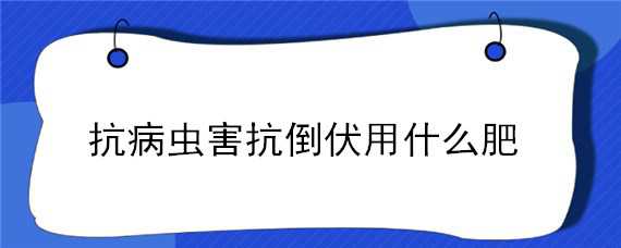 抗病虫害抗倒伏用什么肥（抗病虫害抗倒伏的化肥）