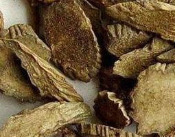川牛膝的功效与作用（川牛膝的功效与作用图片）
