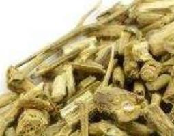 排风藤的功效与作用 排风藤的功效与作用治什么病