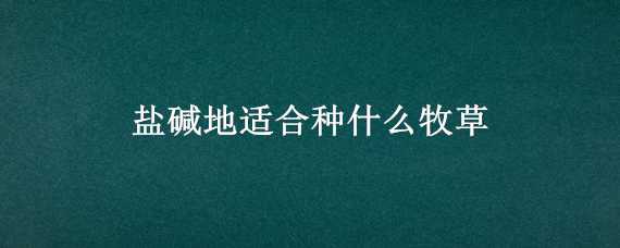 盐碱地适合种什么牧草（盐碱地适合种什么牧草呢）