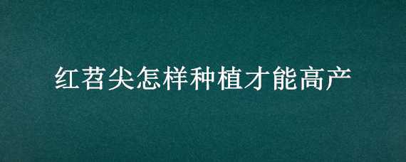 红苕尖怎样种植才能高产（红苕尖怎样种植才能高产呢）