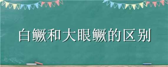 白鳜和大眼鳜的区别