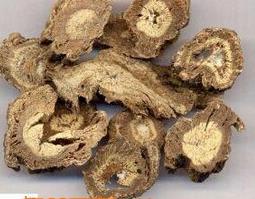 独活的功效和作用 中药独活的功效和作用