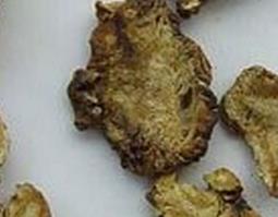 中药独活的功效与作用（中药独活的功效与作用点）