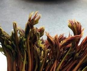 吃香春芽的好处和坏处（吃香春芽有啥好处）
