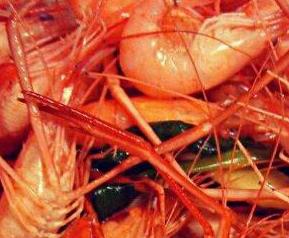 河虾和海虾的区别 河虾和海虾的常见吃法