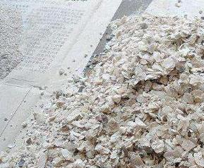 牡蛎粉的功效与作用