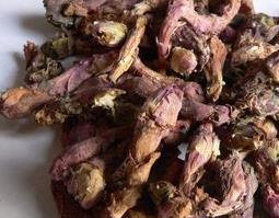 款冬花的功效与作用 款冬花的功效与作用图片