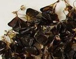 中药乌蛇胆的功效与作用 中药乌蛇胆的功效与作用及禁忌