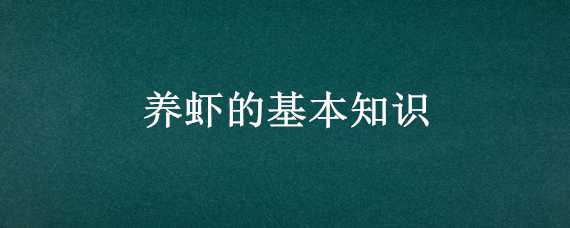 养虾的基本知识 养虾的基本知识视频