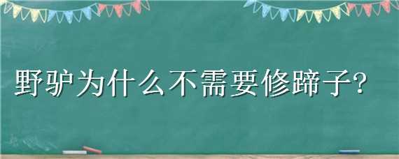 野驴为什么不需要修蹄子