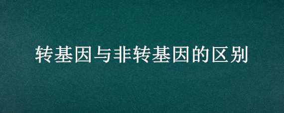 转基因与非转基因的区别（黄玉米转基因与非转基因的区别）