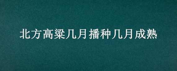 北方高粱几月播种几月成熟 高粱几月份成熟?