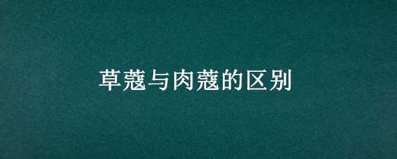 兰花种植方法注意事项 兰花种植方法注意事项和技术