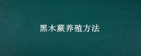 黑木蕨养殖方法