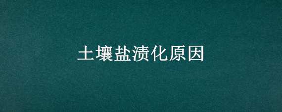 土壤盐渍化原因 土壤盐渍化原因措施植物营养学