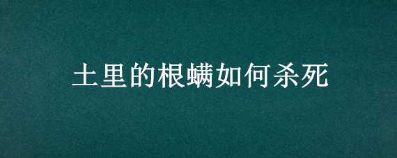 土里的根螨如何杀死（土螨怎么去除）