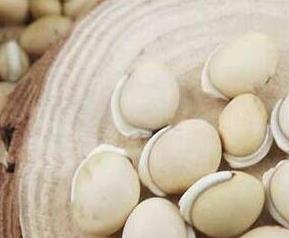 白扁豆籽的功效与作用 白扁豆籽的功效与作用图片