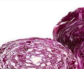 紫心包菜的营养价值（紫心包菜的营养价值及功效）