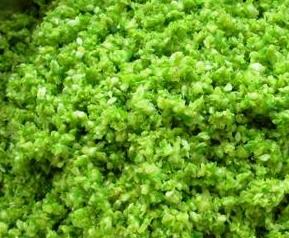 吃韭菜花的好处有哪些 吃韭菜花有啥好处