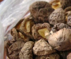 冬菇的功效与作用 冬菇的功效与作用及营养