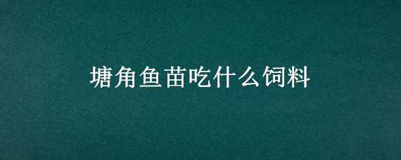 塘角鱼苗吃什么饲料