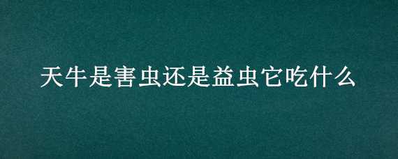 天牛是害虫还是益虫它吃什么（天牛是害虫还是益虫它吃什么药）