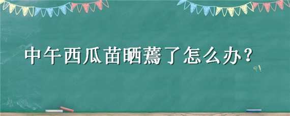 中午西瓜苗晒蔫了怎么办 西瓜苗蔫了怎么回事