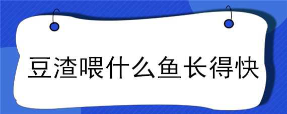 豆渣喂什么鱼长得快（豆渣喂鱼长得快吗）