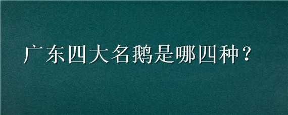 广东四大名鹅是哪四种