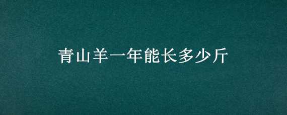 青山羊一年能长多少斤（青山羊一年能长多大）