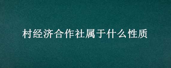 村经济合作社属于什么性质