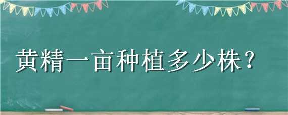 黄精一亩种植多少株