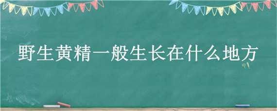 野生黄精一般生长在什么地方（野生黄精主要产于哪里）