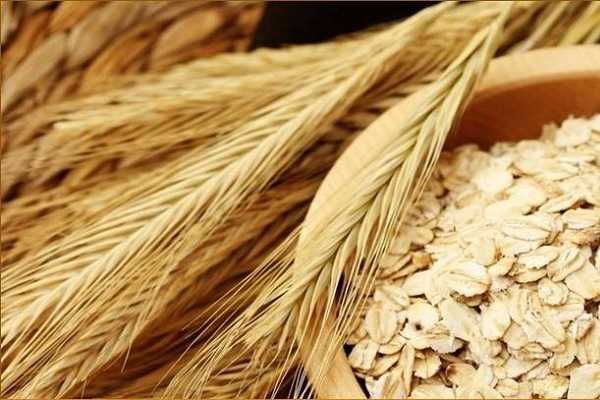 燕麦和莜麦一样吗，两者有什么区别（莜麦和燕麦有什么不同?）