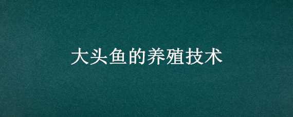 大头鱼的养殖技术 大头鱼的养殖技术与注意事项