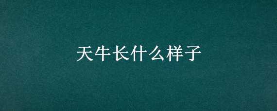 天牛长什么样子 天牛长什么样子它吃什么